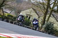 Oulton-Park-21st-March-2020;PJ-Motorsport-Photography-2020;anglesey;brands-hatch;cadwell-park;croft;donington-park;enduro-digital-images;event-digital-images;eventdigitalimages;mallory;no-limits;oulton-park;peter-wileman-photography;racing-digital-images;silverstone;snetterton;trackday-digital-images;trackday-photos;vmcc-banbury-run;welsh-2-day-enduro